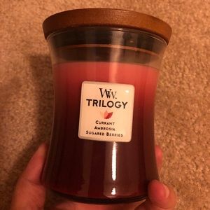 🎄🎄Fruit Temptation Trilogy WoodWick Candle🎄🎄